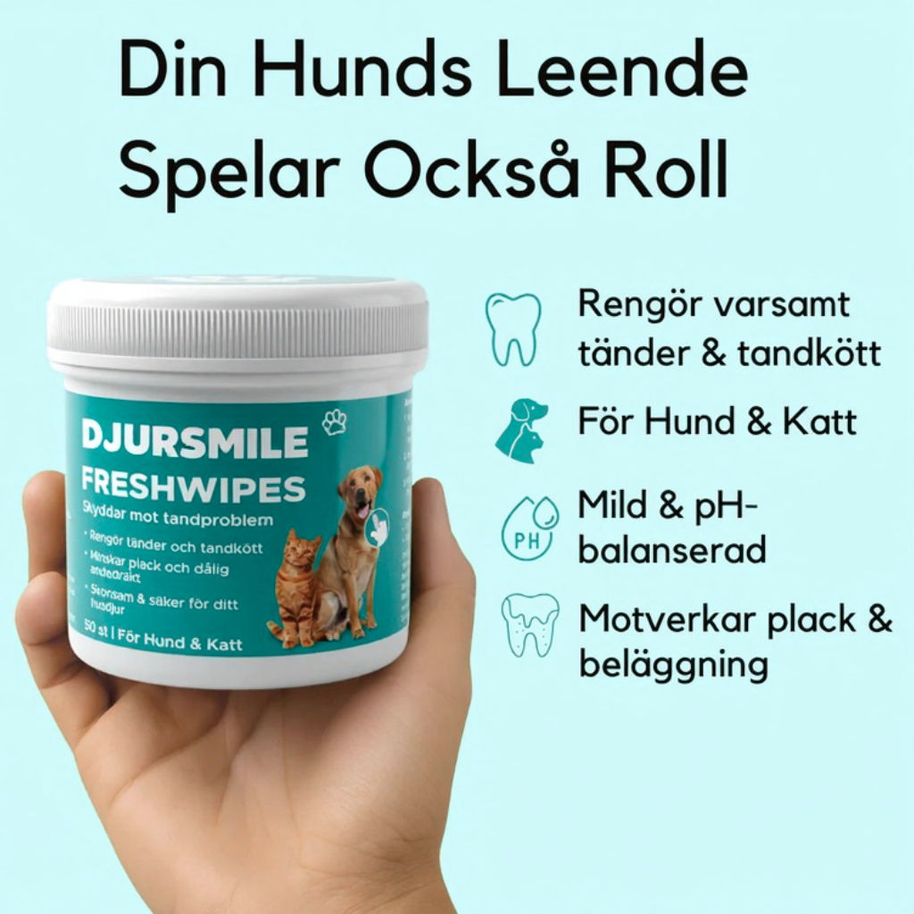 DjurSmile | Naturliga FreshWipes för husdjur