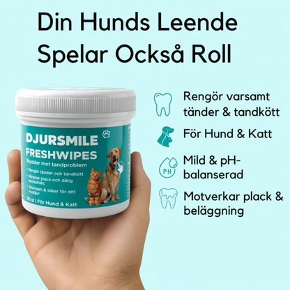 DjurSmile | Naturliga FreshWipes för husdjur