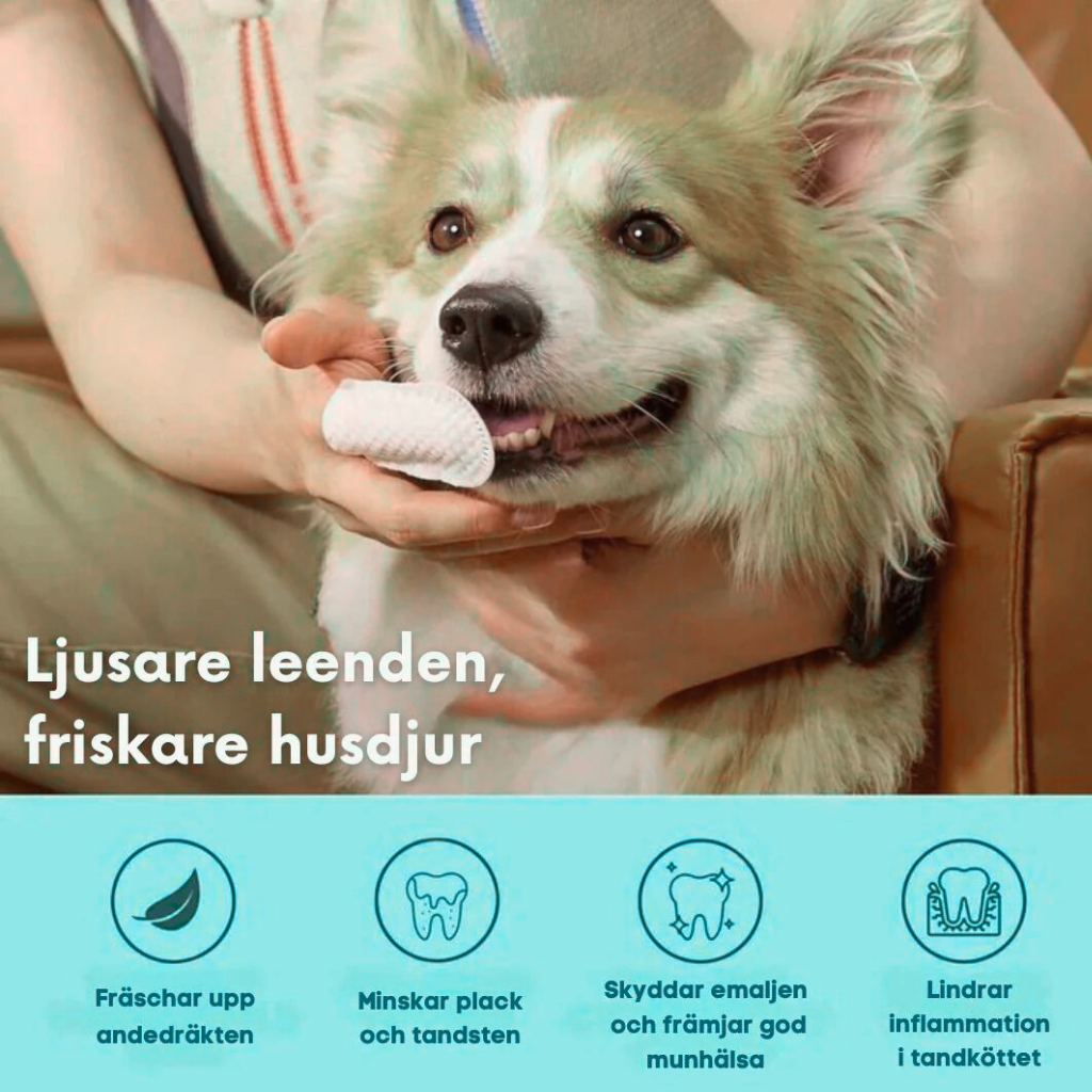 DjurSmile | Naturliga FreshWipes för husdjur