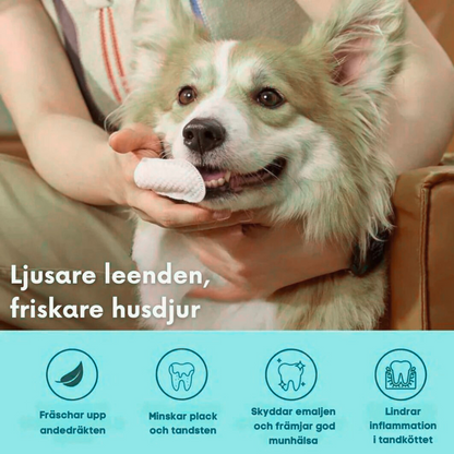 DjurSmile | Naturliga FreshWipes för husdjur
